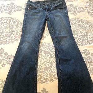 AE Artist Flare Jeans